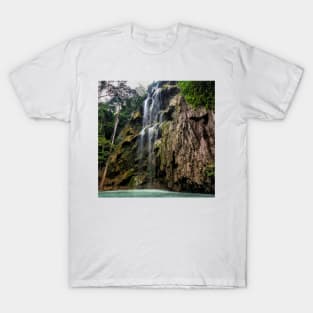 Tumalog Falls T-Shirt